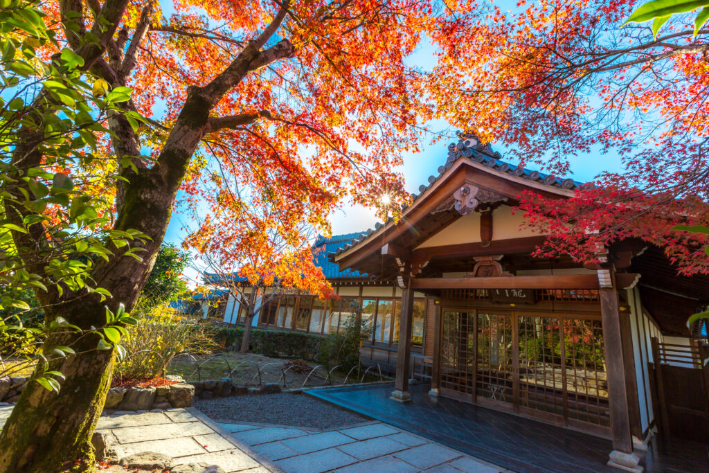 koyto ,japan temple