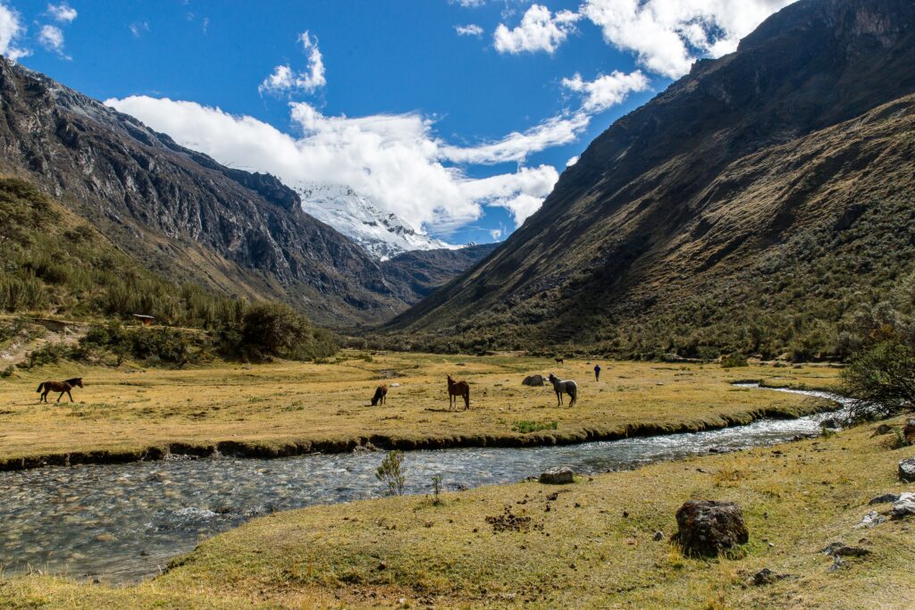 wild park for solo travel