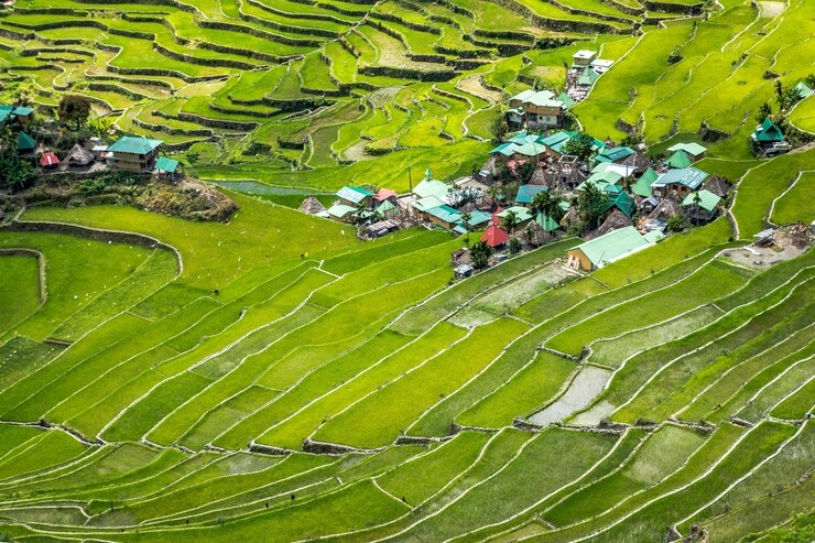 Discovering Vietnam