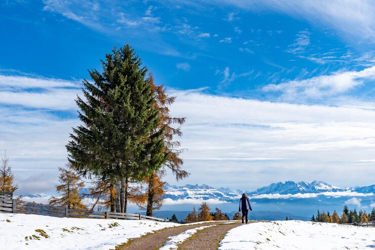 Snowfall in Kashmir