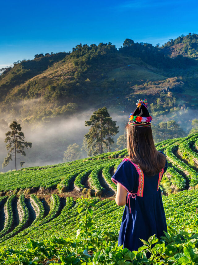 Discover The Top 5 Places to Visit in Ooty: A South Indian Gem