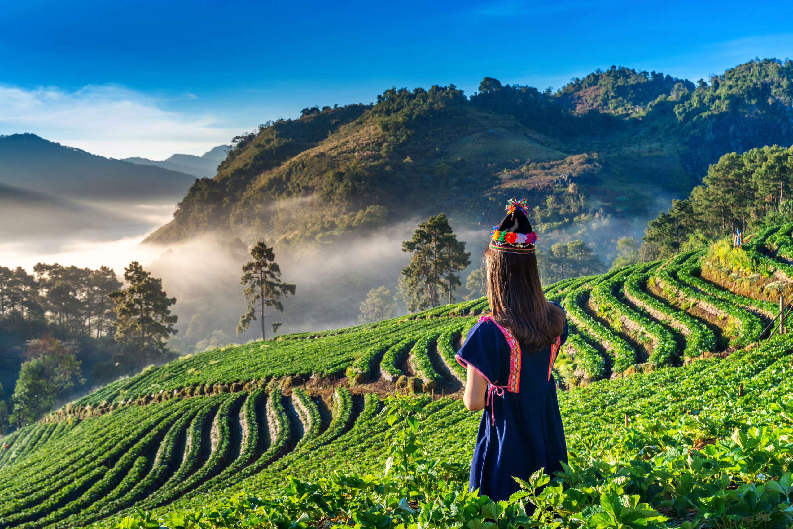 Discover The Top 5 Places to Visit in Ooty: A South Indian Gem